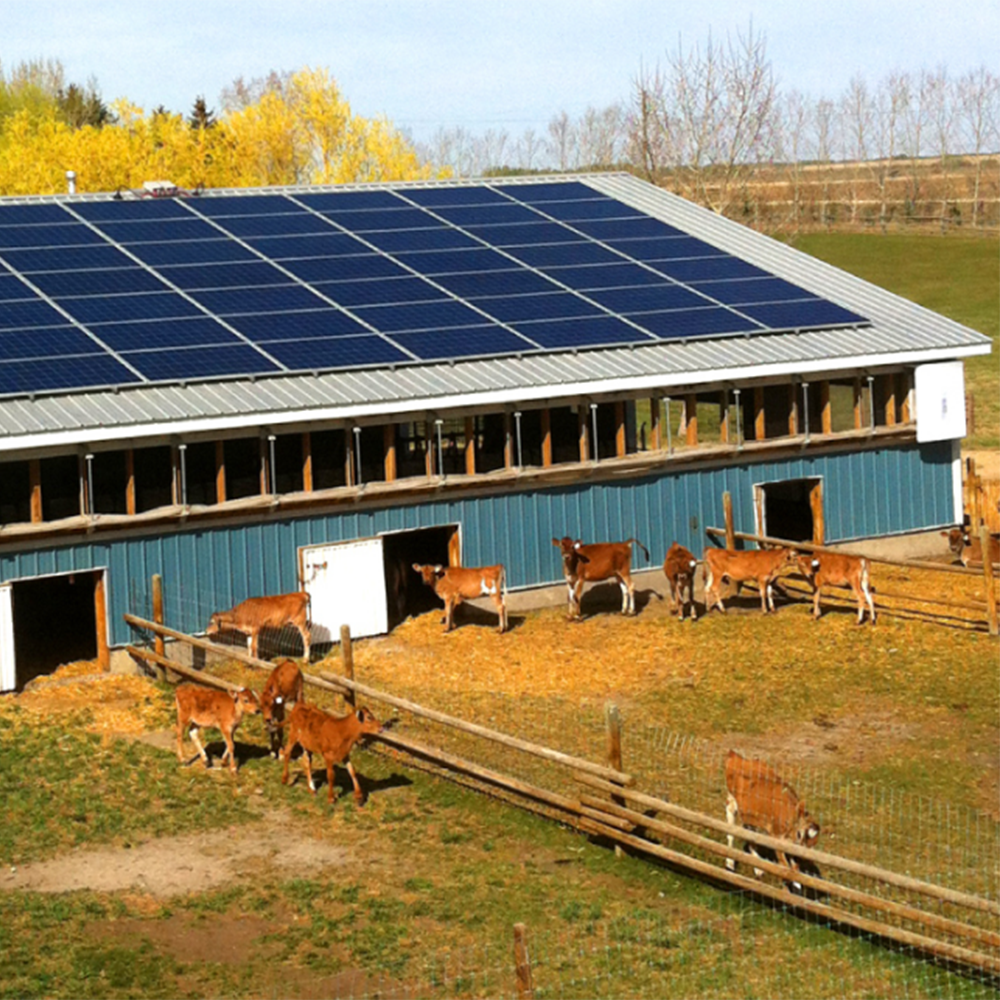 Solar farm